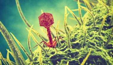 IDWeek 2025: novel phage AP-SA02 leads to earlier resolution of S. aureus bacteremia