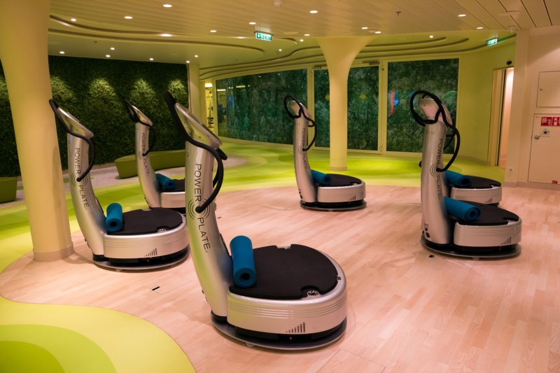 ibration plates machines in a gym