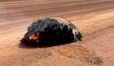 Pic: WA Police Force