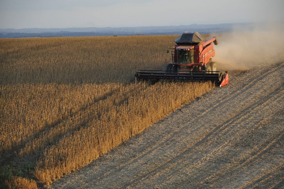 Brazil soy deal that curbs Amazon deforestation to be suspended in 2026