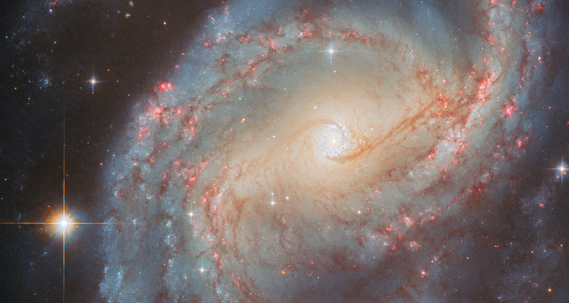 A spiral galaxy with large, open arms. A bar of yellow light, where old stars are gathered, crosses the middle of the disk. The very centre is a white point surrounded by a small, shining ring of star clusters. Thin lanes of dust swirl around this ring, reaching out to follow the spiral arms; also visible across the arms are red, glowing spots where stars are forming. To the right a star shines large and bright.