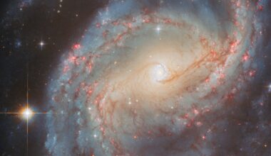 A spiral galaxy with large, open arms. A bar of yellow light, where old stars are gathered, crosses the middle of the disk. The very centre is a white point surrounded by a small, shining ring of star clusters. Thin lanes of dust swirl around this ring, reaching out to follow the spiral arms; also visible across the arms are red, glowing spots where stars are forming. To the right a star shines large and bright.