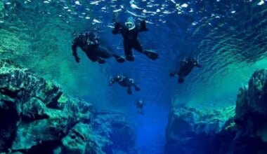 Tourists in Malaysia criticized for manhandling rare sea turtle