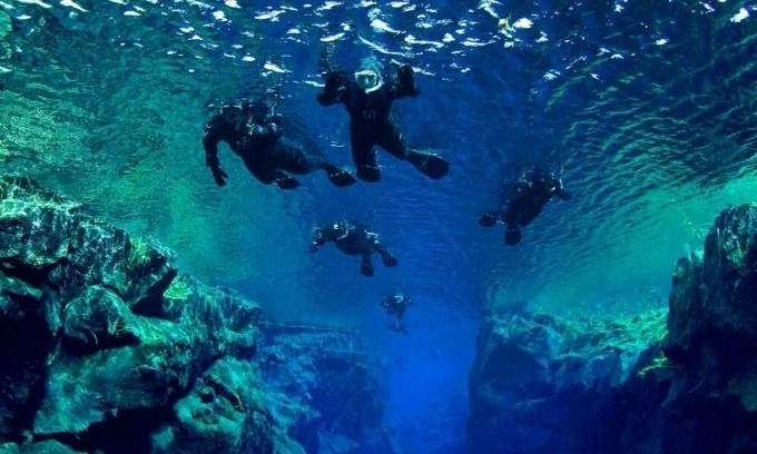 Tourists in Malaysia criticized for manhandling rare sea turtle