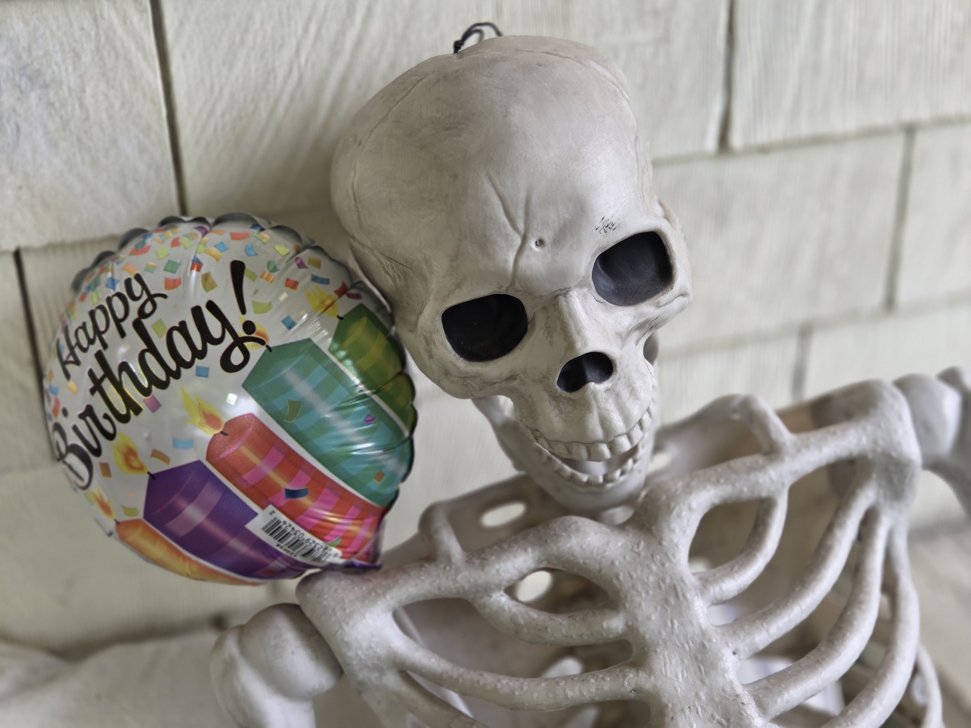 skeleton portrait by galaxy s25 plus