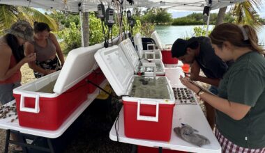Stanford scientist from Molokaʻi dives into the genetic secrets of resilient coral