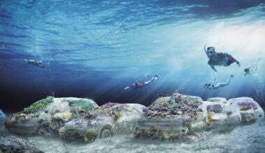Miami Beach puts the art in offshore artificial reef : NPR