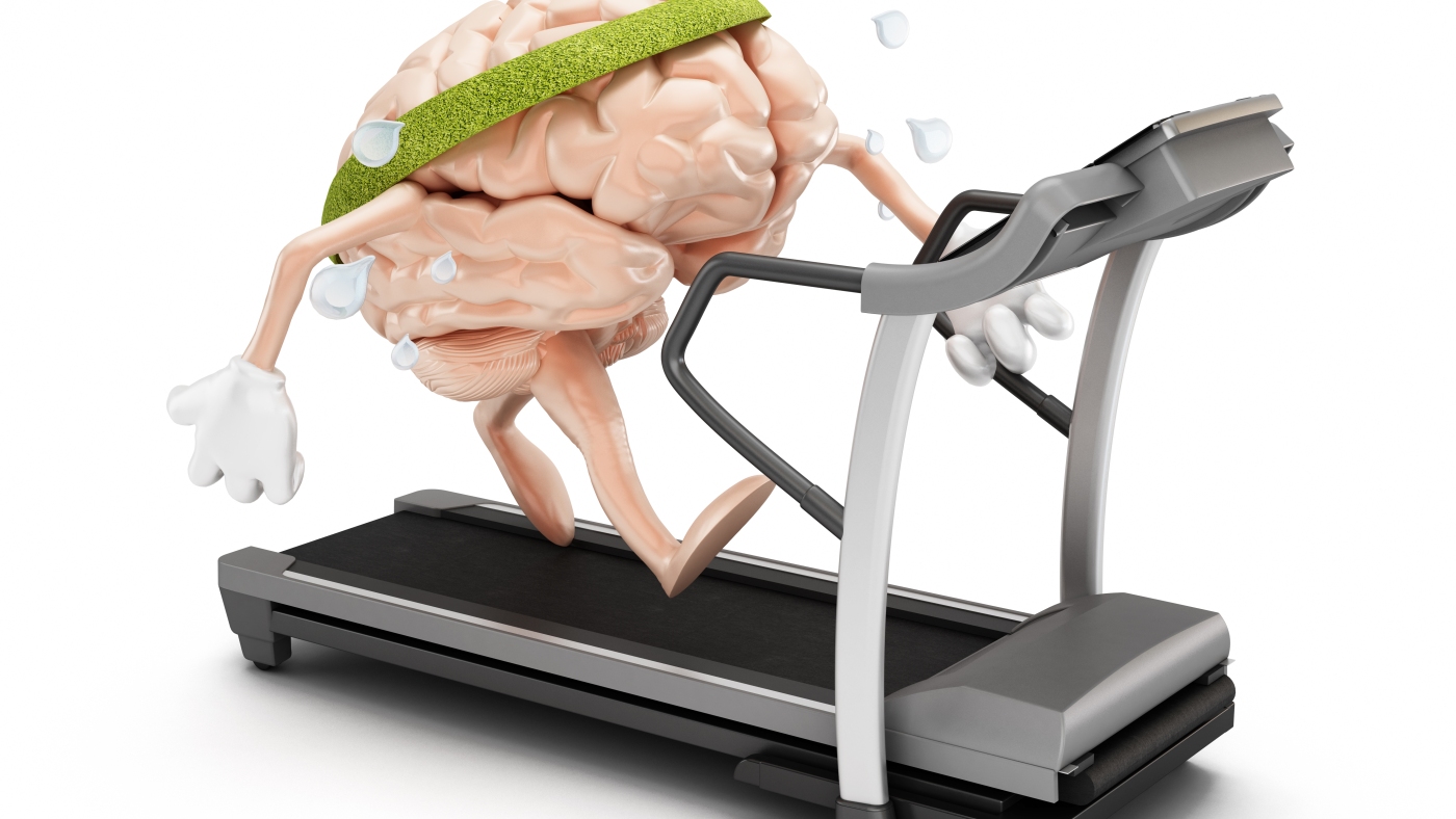 Mental exercise can reverse a brain change linked to aging, study finds : NPR