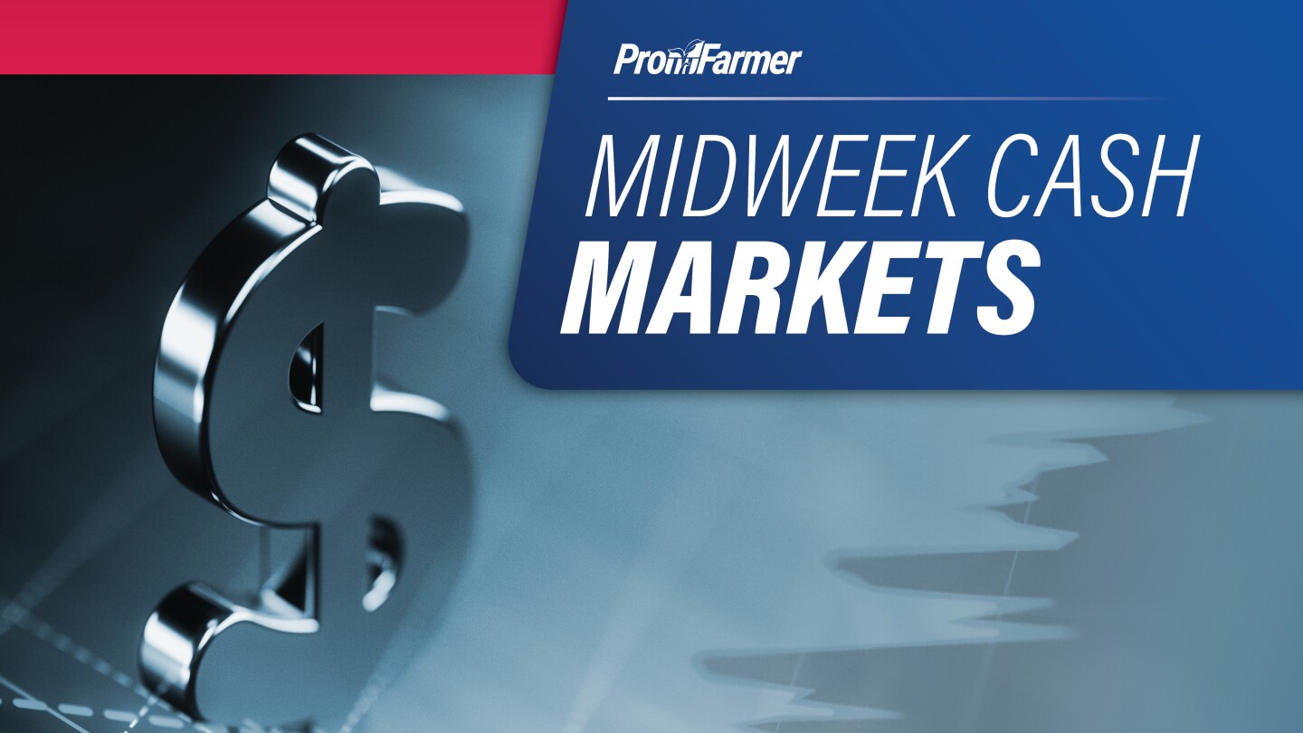 Midweek Cash Markets | Soybean basis continues to firm