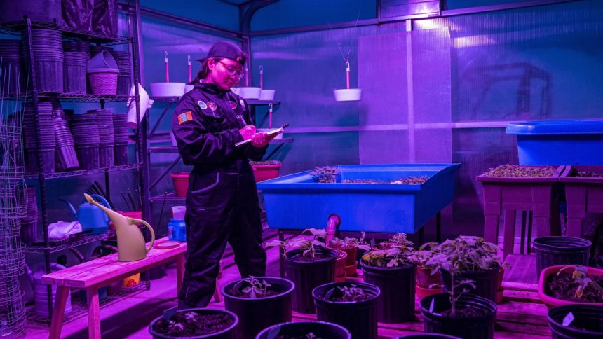 The MARS-V crew botanist and health and safety officer taking notes in a Mars habitat greenhouse.