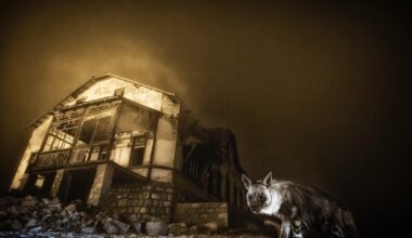 Wildlife Photographer of the Year