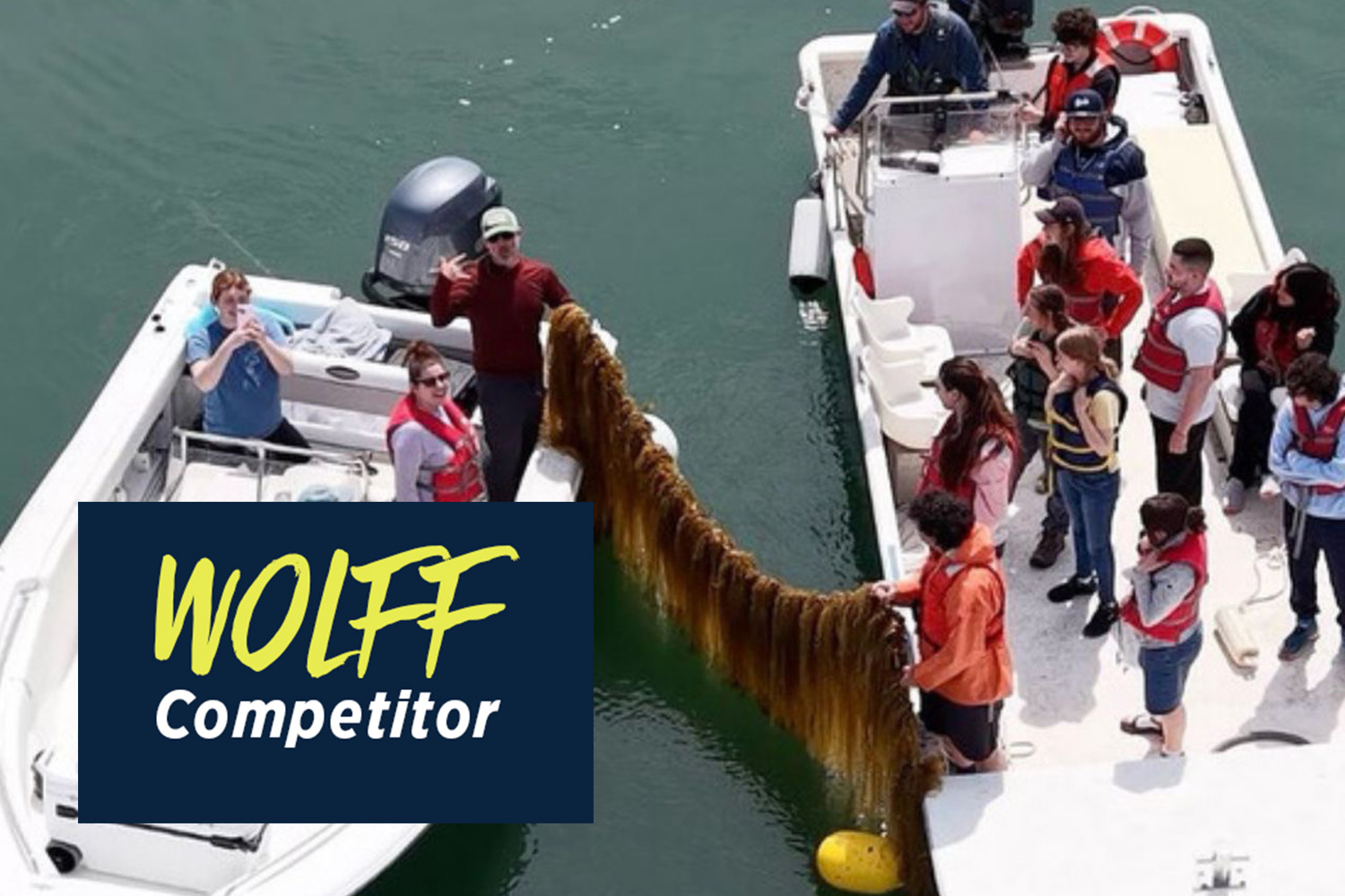 People standing in two small boats hold a line laden with seaweed between them.