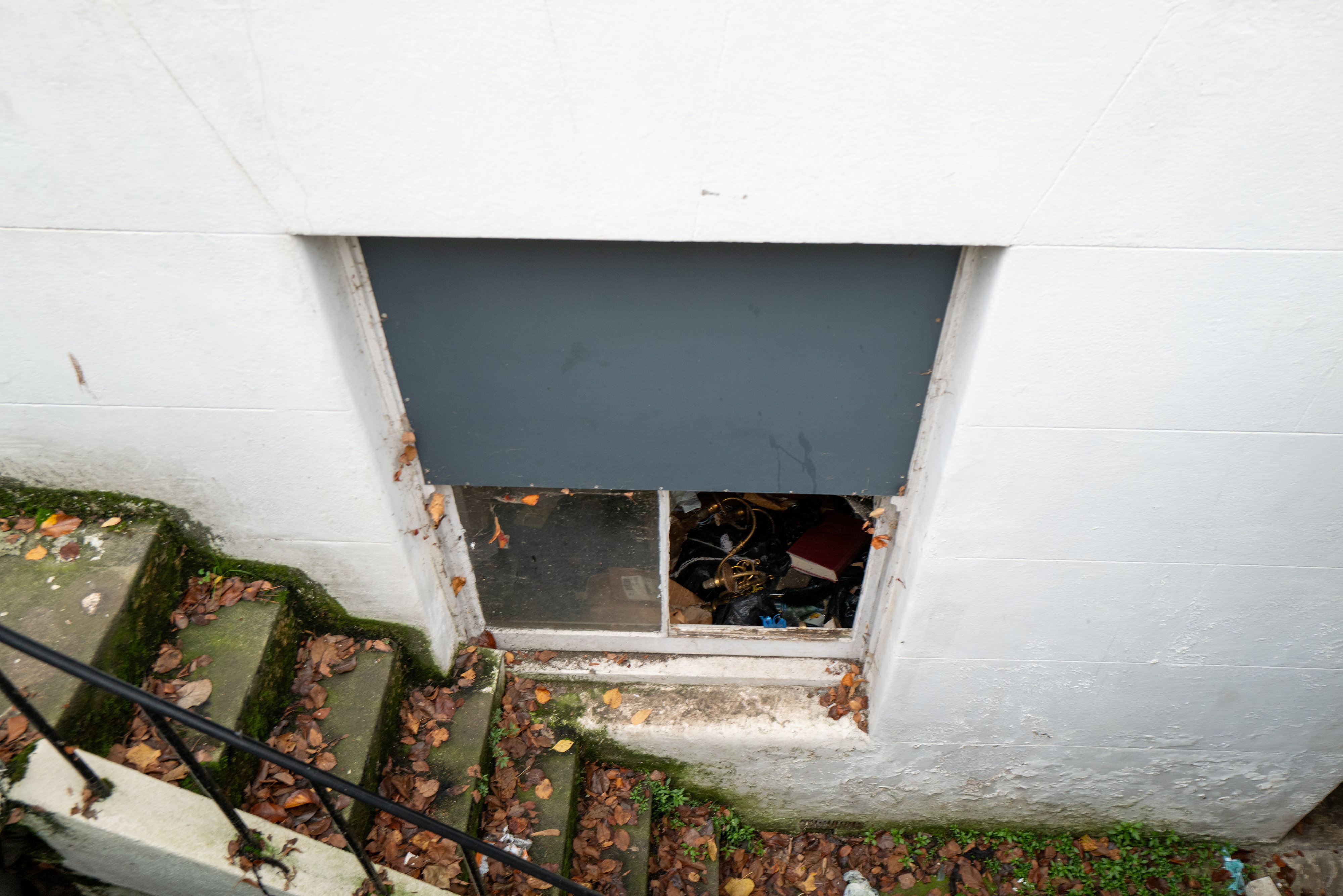 A view looking down into a basement window well, showing concrete steps covered in moss and autumn leaves, leading to a window mostly covered by a gray panel but revealing a pile of trash and items inside.