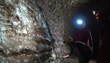 Giant spider web found in Greek-Albanian border cave