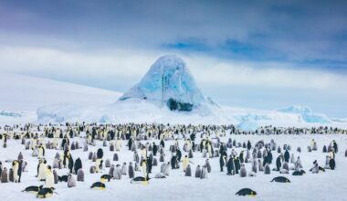 Base Almirante Brown (Argentina), in Paradise Harbour, Antarctica