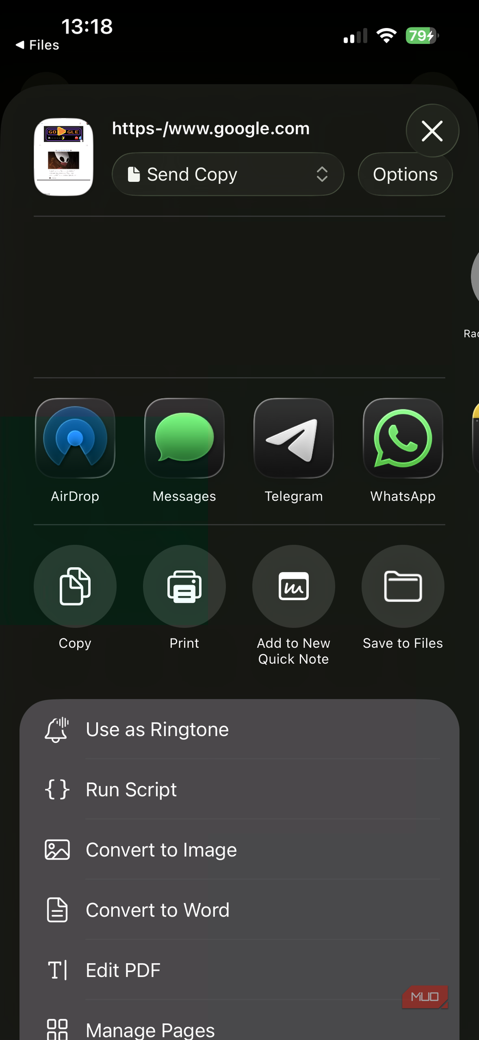 03b iPhone Share Options for PDF