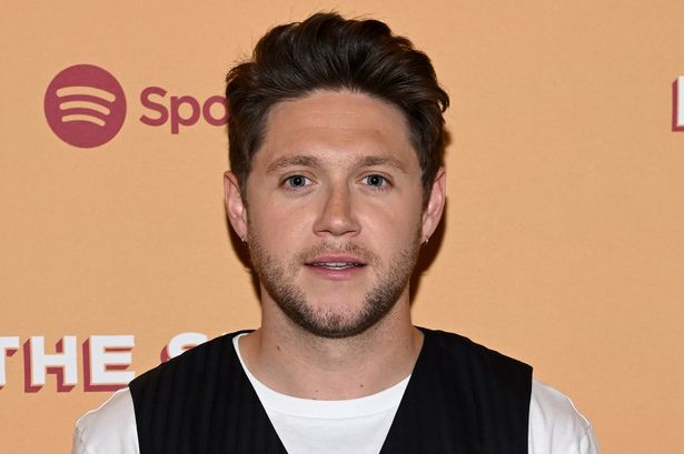 Niall revealed that despite his staggering fame, he managed to live a relatively private life