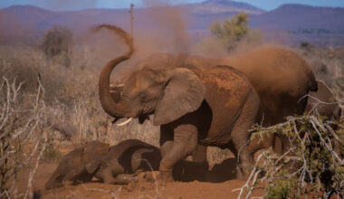 Yahoo lifestyle home