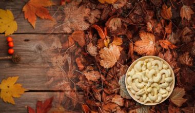 Cashew nut, nutrition