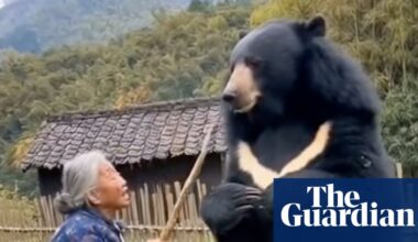 Amid Japan’s surge in bear attacks, a torrent of AI-generated videos is adding to anxiety | Japan