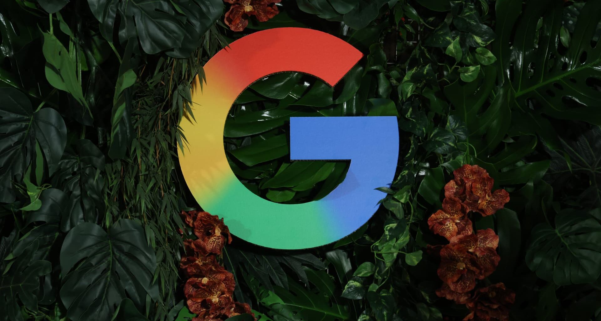 Alphabet to omega in AI?