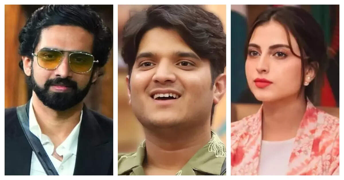 Exclusive – Bigg Boss 19: Mridul Tiwari reacts to his eviction, calls Farrhana Bhatt ‘toxic’ and ‘evil’, and comments on Amaal Mallik’s image being ‘white-washed’ - Times of India