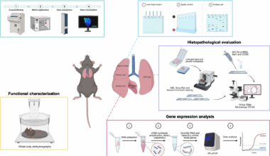 Optimization of intranasal bleomycin dose for effective pulmonary fibrosis induction in mice with minimal animal distress | BMC Pulmonary Medicine