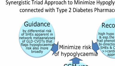 Clinical perspectives of new insights and tools to minimize the hypoglycaemia burden connected with type 2 diabetes pharmacotherapy | Cardiovascular Diabetology