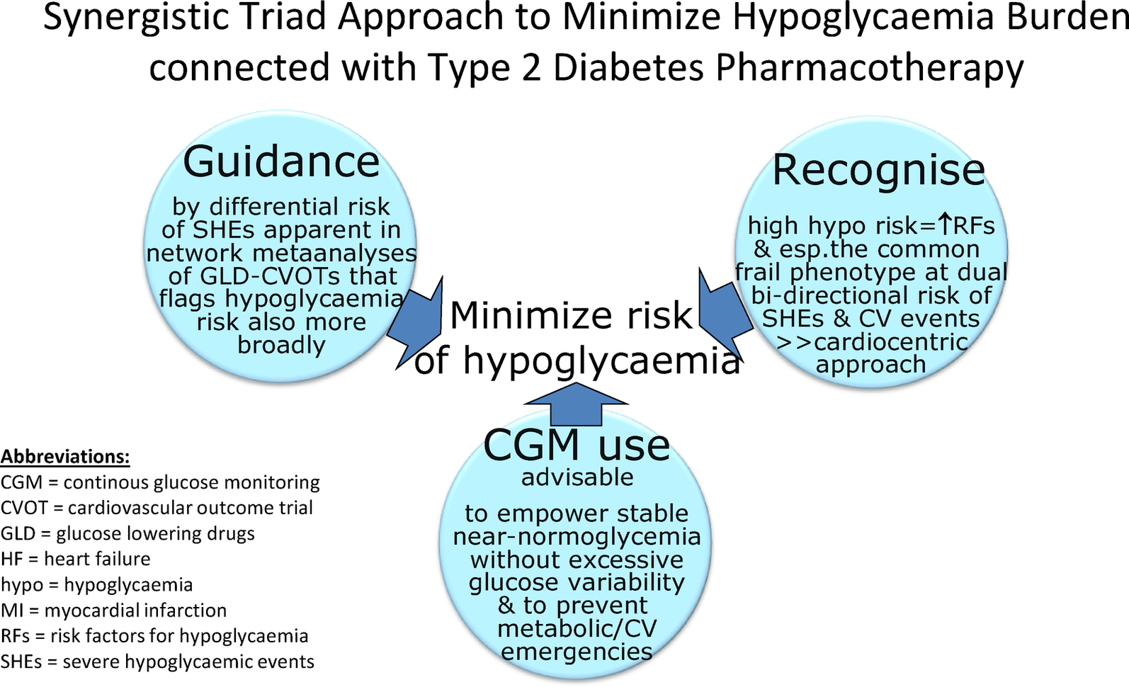 Clinical perspectives of new insights and tools to minimize the hypoglycaemia burden connected with type 2 diabetes pharmacotherapy | Cardiovascular Diabetology