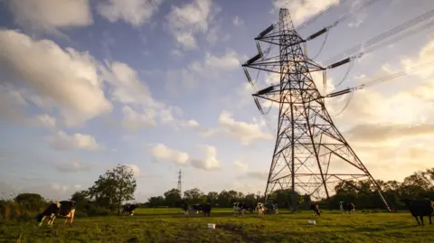 Getty Images A wide green field with grazing cows beneath towering electricity pylons. The pylons rise against a partly cloudy sky, with sunlight filtering through the metal framework. Additional pylons and trees are visible in the distance.