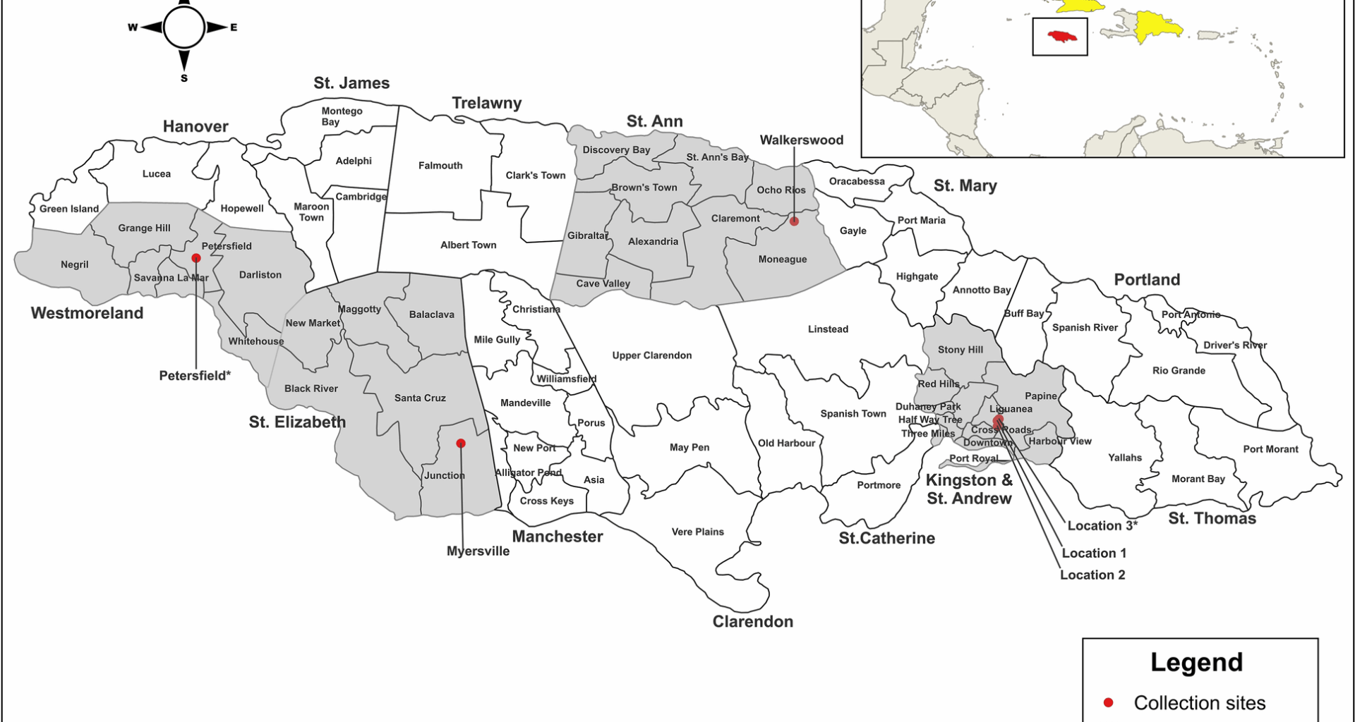 Detection of invasive Aedes vittatus mosquitoes in Jamaica: molecular identification and surveillance implications | Parasites & Vectors