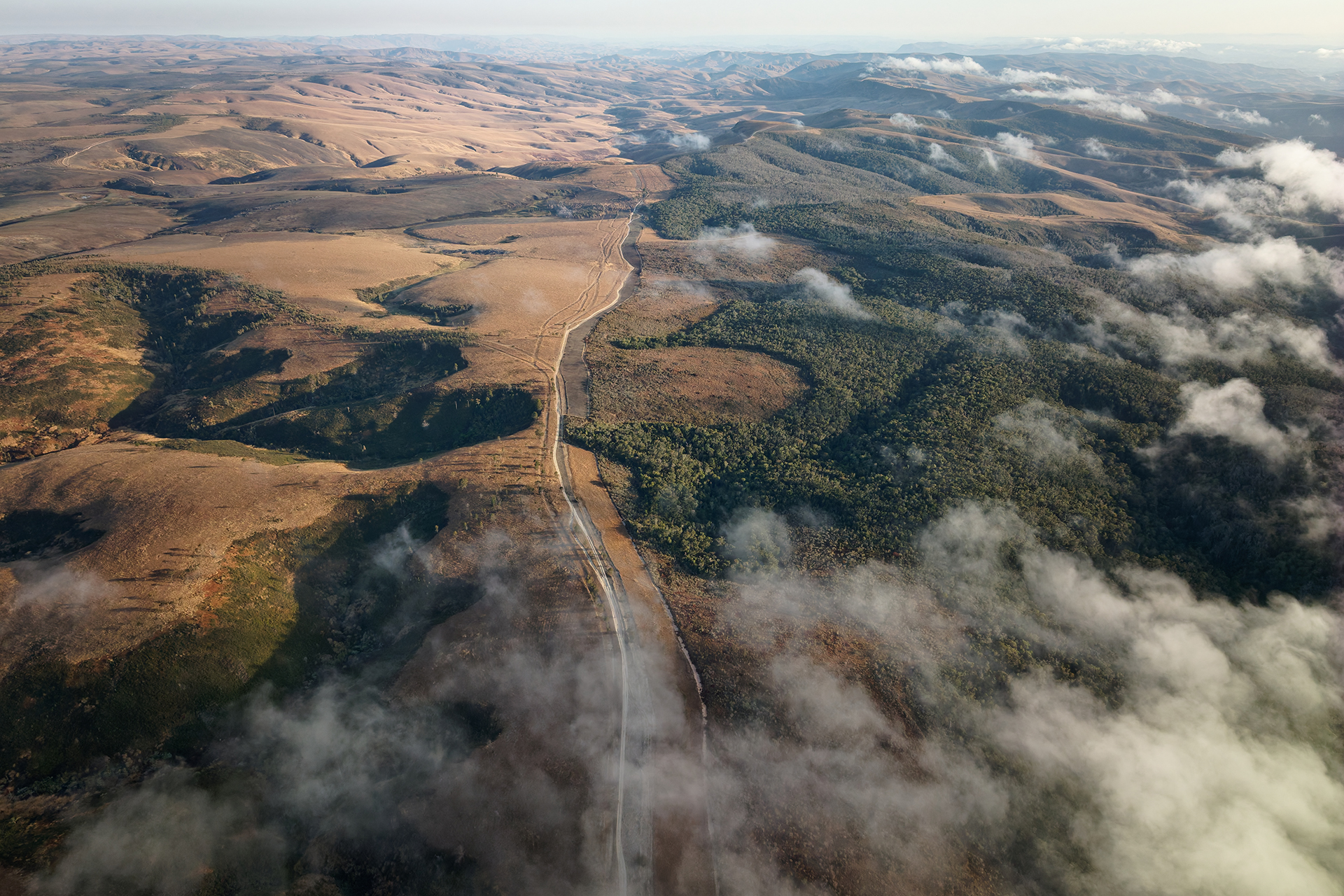 Seen from above, green forests cover hills to the right and cleared grasslands are to the left.