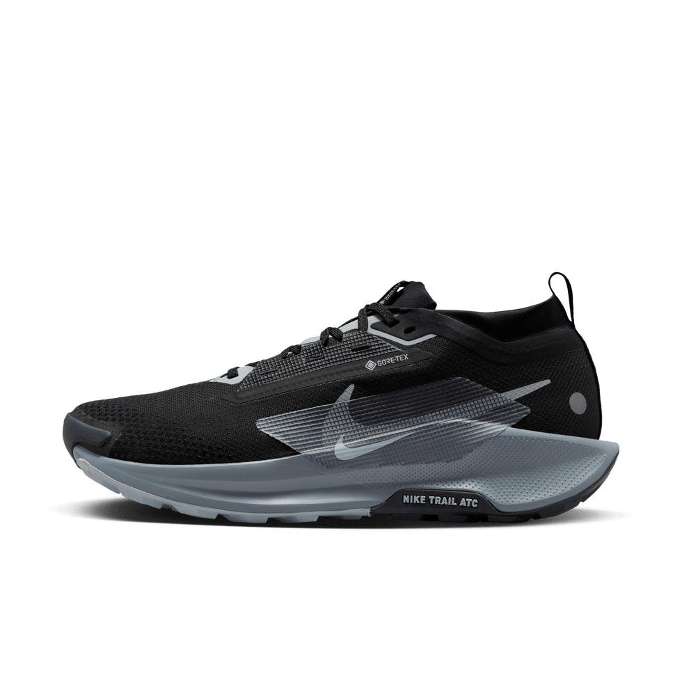 Nike Pegasus Trail 5 GORE-TEX (Men's)
