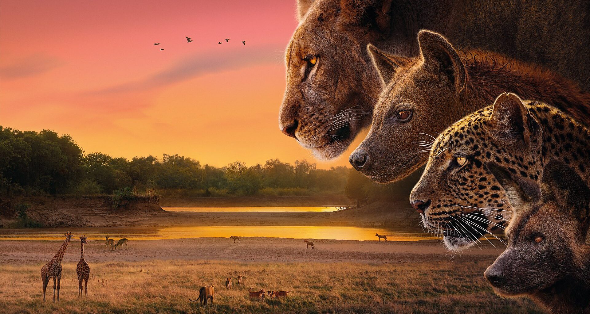 Everything you need to know about the new wildlife series narrated by Sir David Attenborough