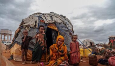 Battlefields to wastelands: UN warns conflicts are destroying ecosystems worldwide