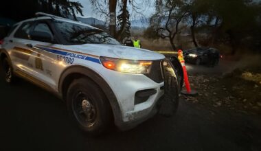 Gunshots ring out at Universal Ostrich farm in Edgewood, B.C.