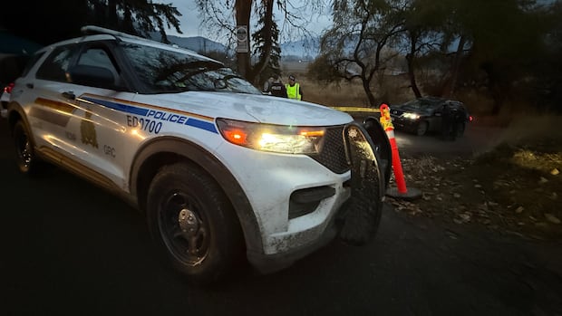 Shots ring out at B.C. ostrich farm as CFIA uses marksmen to carry out cull