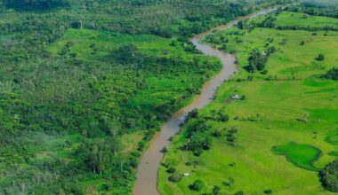 New Brazil-led fund aims to put forest protection at the heart of climate action