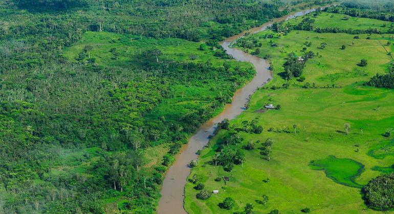 New Brazil-led fund aims to put forest protection at the heart of climate action