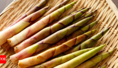 Why you should include bamboo shoots in your diet: 5 health and nutrition benefits |
