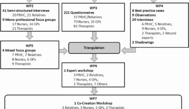 Development of an interprofessional person-centred care concept for persons with care needs living in their own homes in Germany (interprof HOME): a mixed methods study | BMC Primary Care