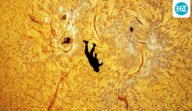 Skydiver aligned with the Sun in breathtaking photo, a moment that even Elon Musk applauded