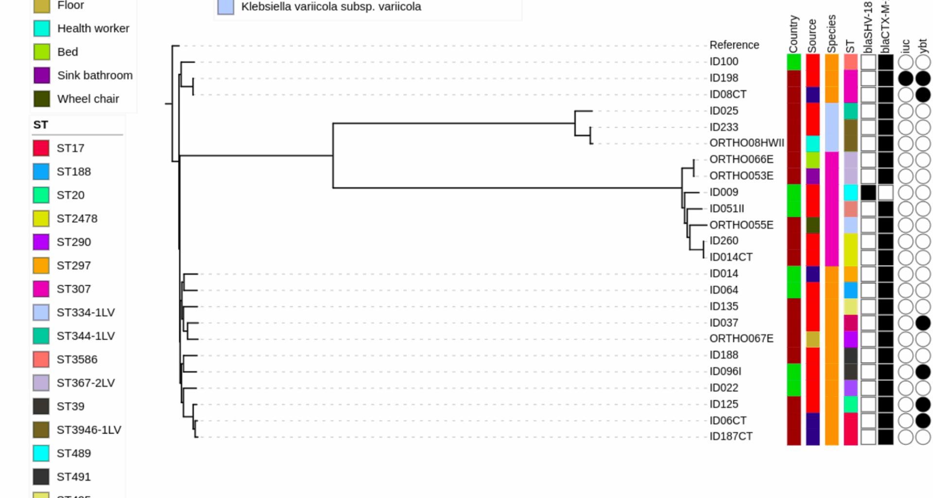 Multidrug resistant hypervirulent ST307 clone from genomic surveillance of extended spectrum beta-lactamase-producing Klebsiella pneumoniae species complex in East Africa | BMC Microbiology