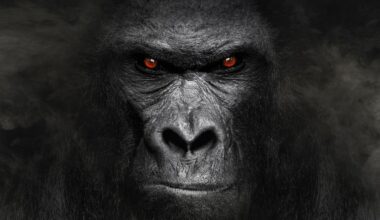 Overlooking The $5 Trillion Gorilla