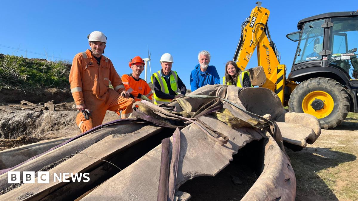 Five people kneel - three wearing hi-vis jackets and hard hats - beside the skull of a whale head. There is a yellow digger on the background.