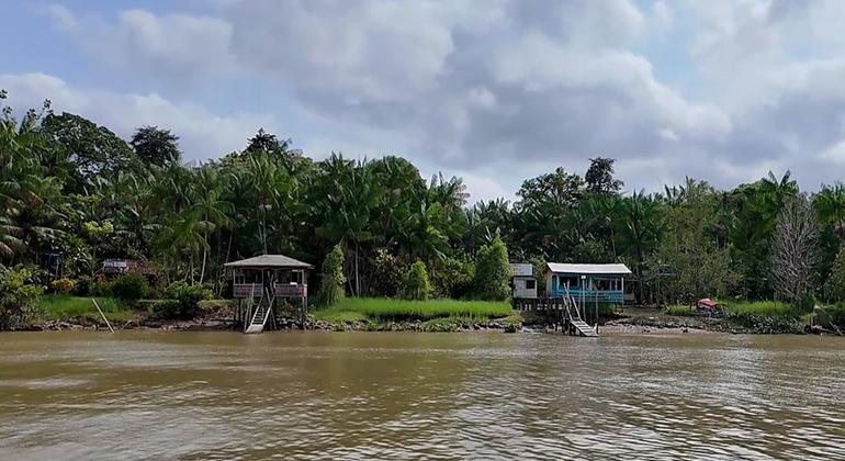 Pará, Brazil. In the region where the Amazon River meets the Atlantic Ocean, there are countless natural beauties to admire, but also silent climate risks that are deepening. Pará, Brazil. In the region where the Amazon River meets the Atlantic Ocean, there are countless natural beauties to admire, but also silent climate risks that are deepening.