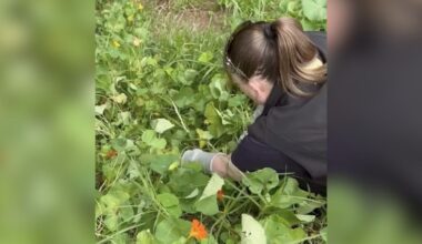 Woman Hears 'Crying' In Flower Patch And Finds Wild Baby Who Fell From The Sky