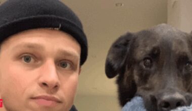 Spencer Lofranco dies at 33: How rich was the Canadian actor? Check his net worth and glance at his acting career