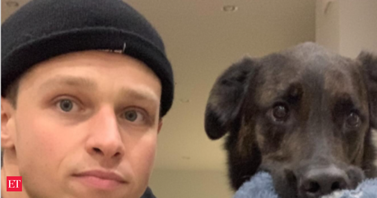 Spencer Lofranco dies at 33: How rich was the Canadian actor? Check his net worth and glance at his acting career