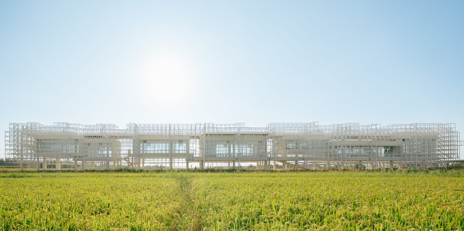 Manor Mirage / BUZZ/ Büro Ziyu Zhuang